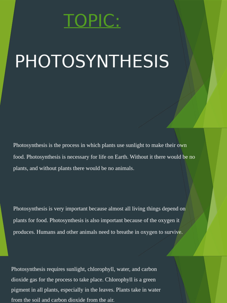 Photosynthesis | PDF
