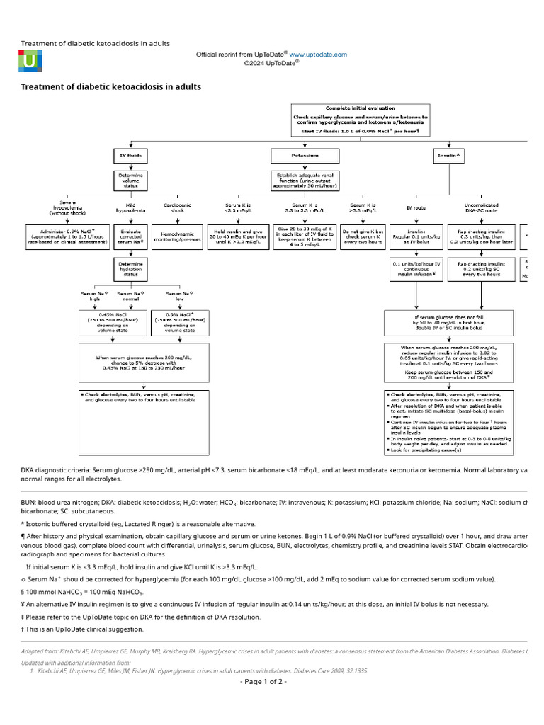 Treatment of Diabetic Ketoacidosis in Adults | PDF