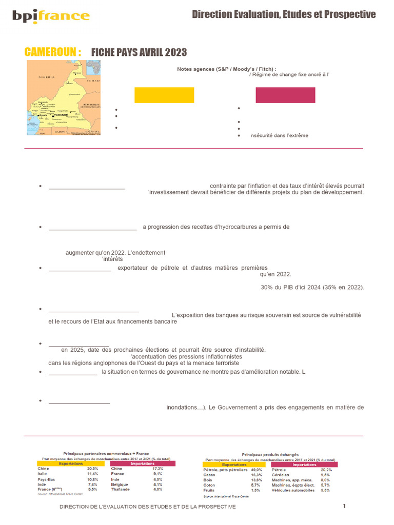 fiche-pays-cameroun-avril-2023-pdf-dette-publique-affaires