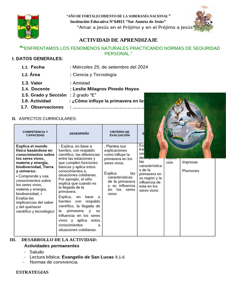 CYT-¿Qué Tipo de Ecosistema Exixte en Nuestra Localidad | PDF