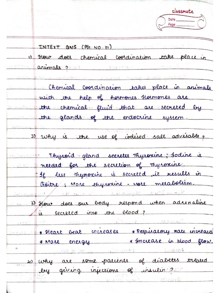 Document 16 | PDF