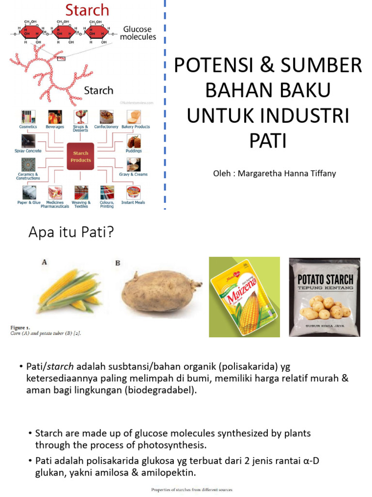 New - Pati | PDF
