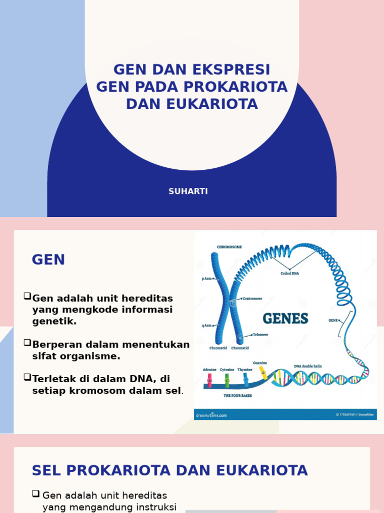 Gen Dan Ekspresi Gen | PDF