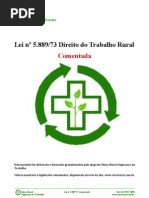 Lei 5889 Comentada