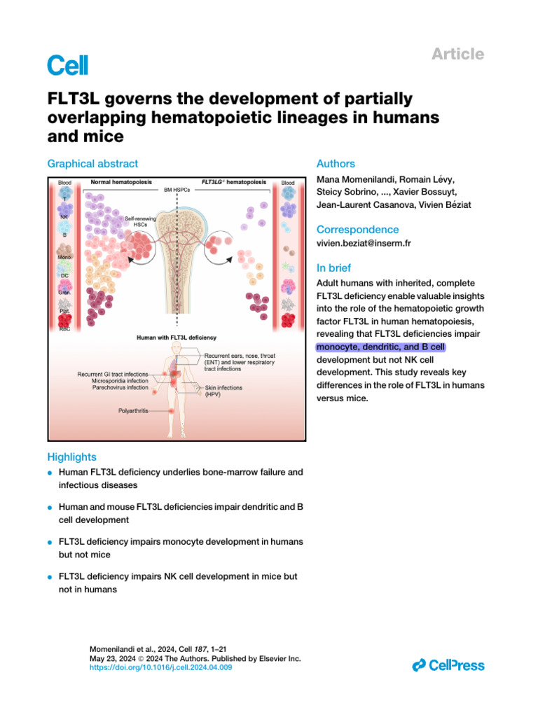 2024CELL-FLT3L Governs The Development of Partially Overlapping ...