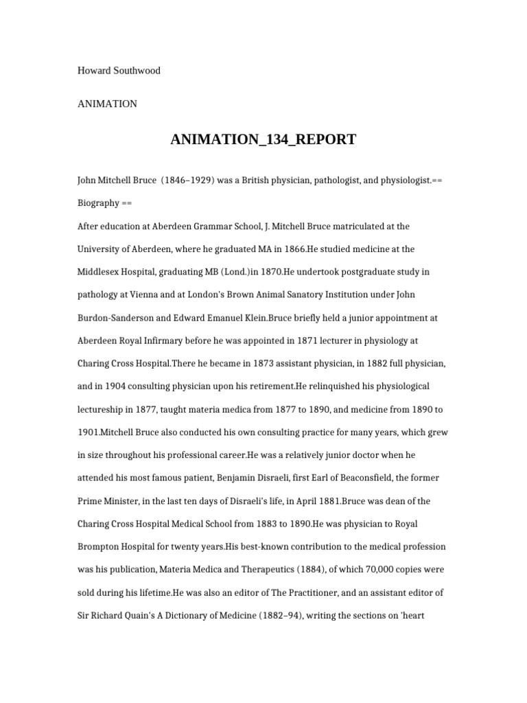 Animation 134 Report | PDF