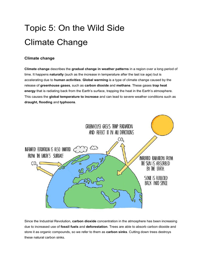 Topic 5 Climate Change | PDF | Climate Change | Wellness