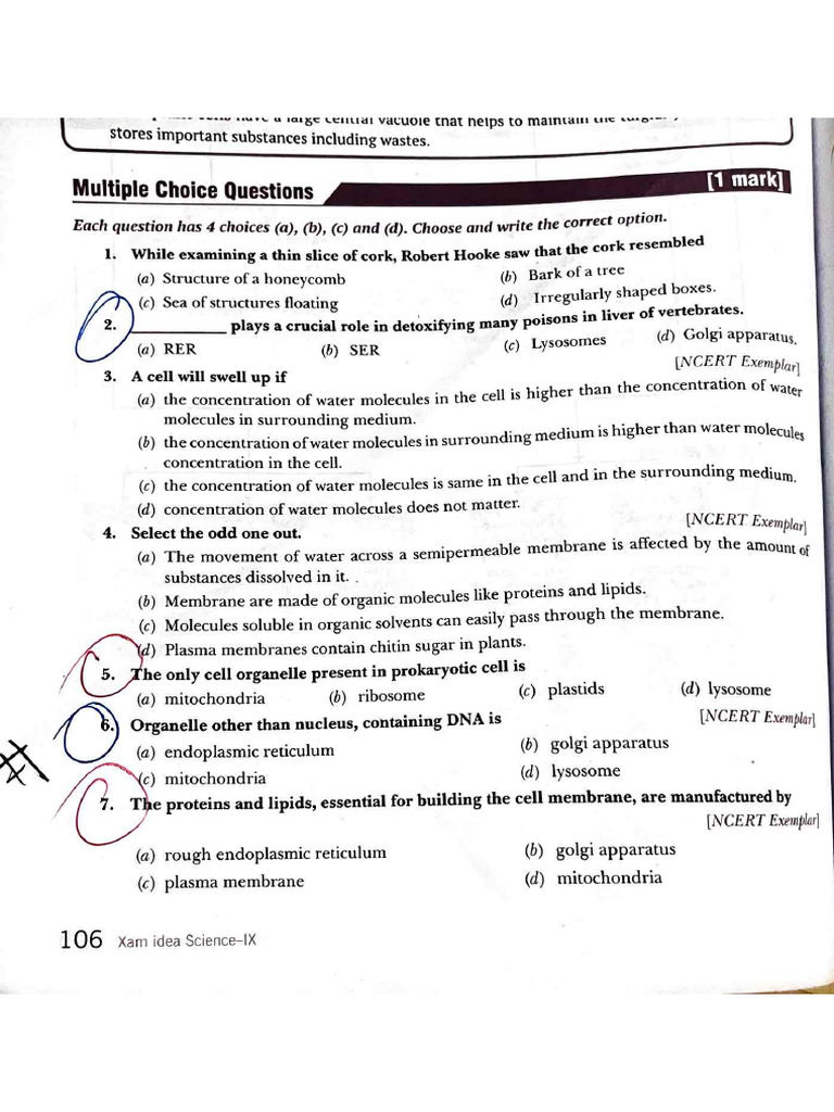 Document 125 | PDF