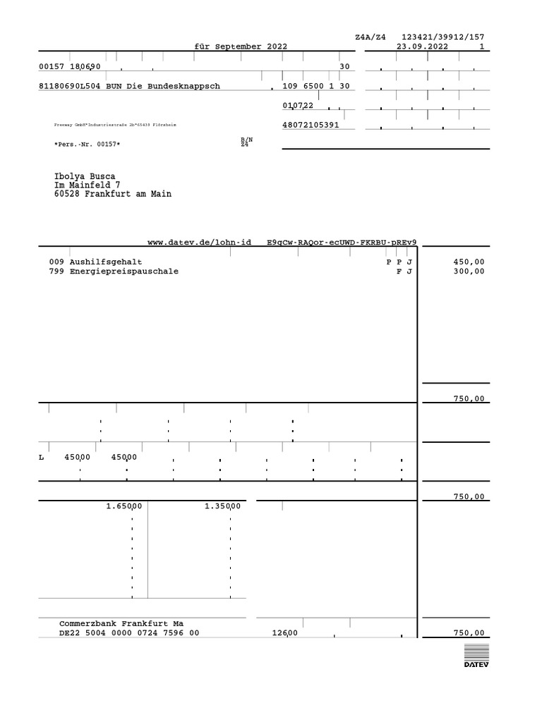 Fabelhafte Abrechnung Der Brutto Netto Bezuege Formular Kostenlos Bilderbrend9421
