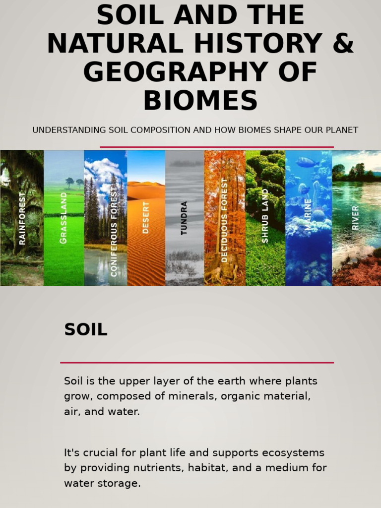Soil's Role in Biomes and Ecosystems | PDF | Soil | Ecosystem