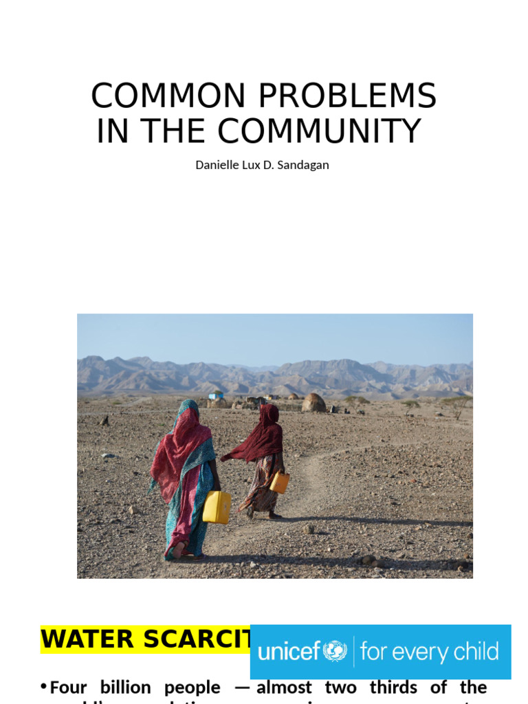 Common Problems in The Community | PDF