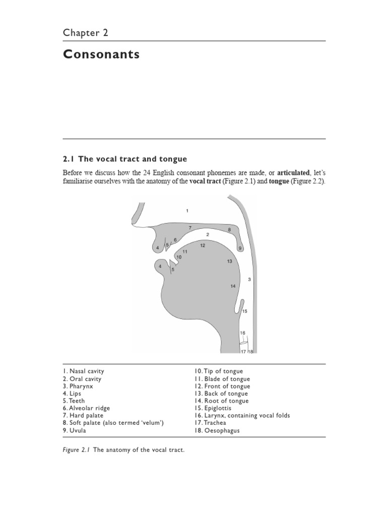 Required Reading 1 - Chapter 2 (Carley Et Al., 2018) | PDF
