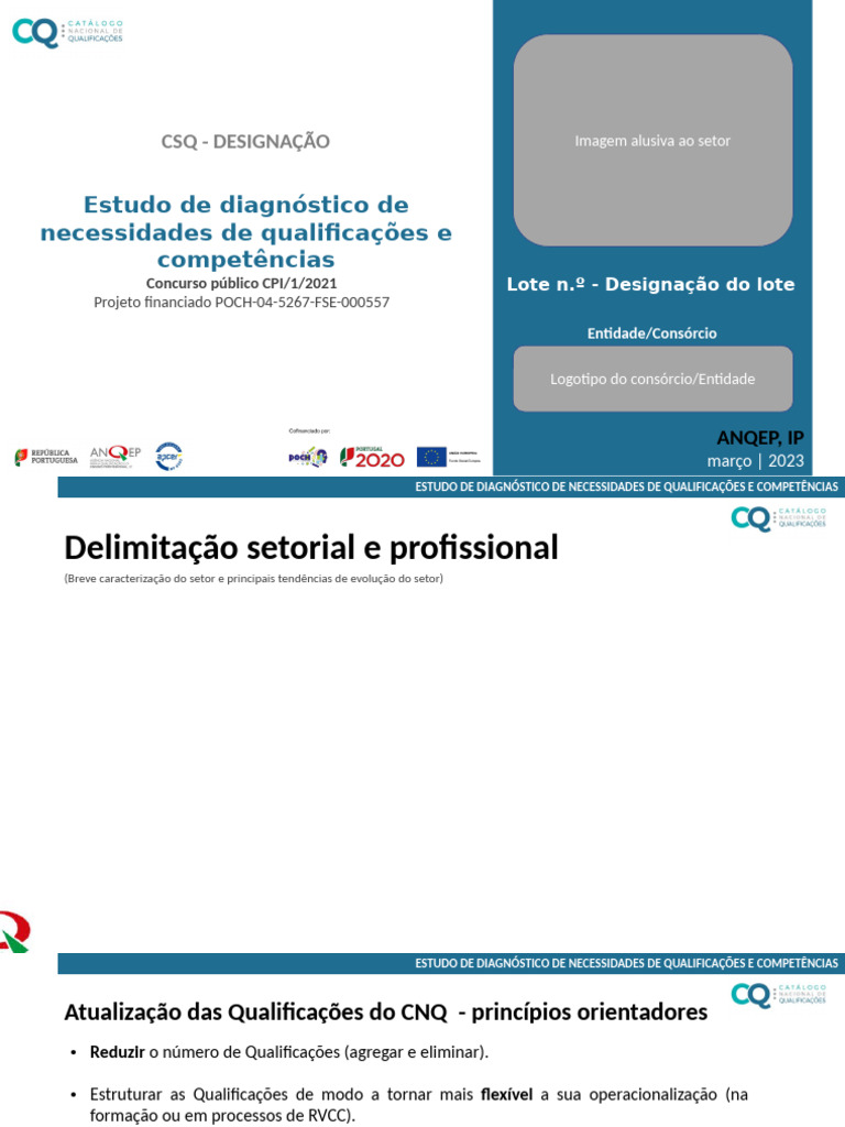 Apresentação CSQ | PDF