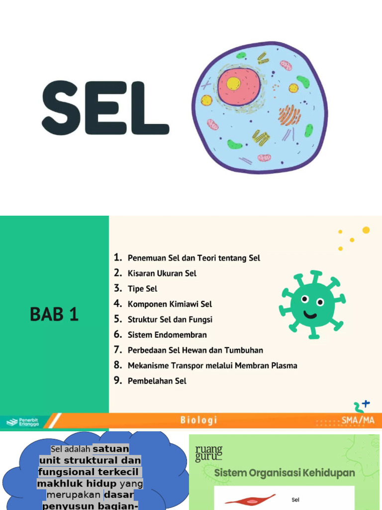 SEL | PDF