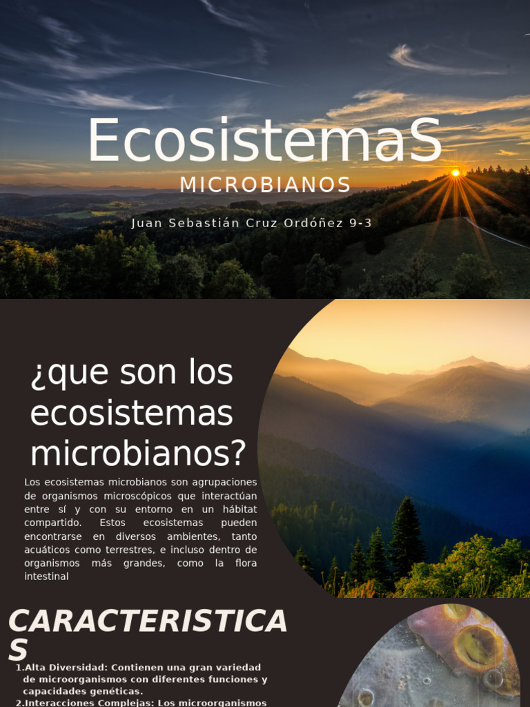 Eco Sistema | PDF