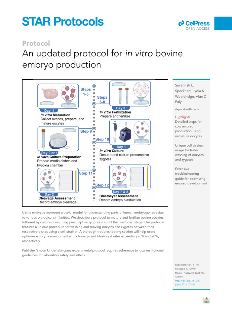 An Updated Protocol For in Vitro Bovine | PDF