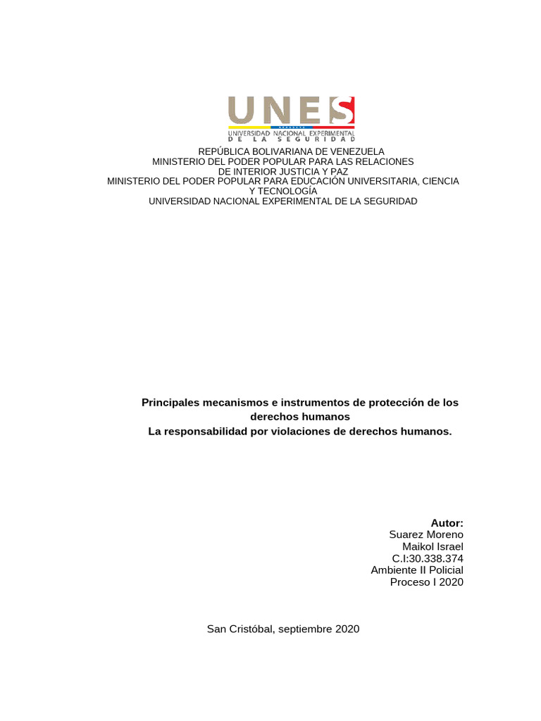 Principales mecanismos e instrumentos de protección de los derechos