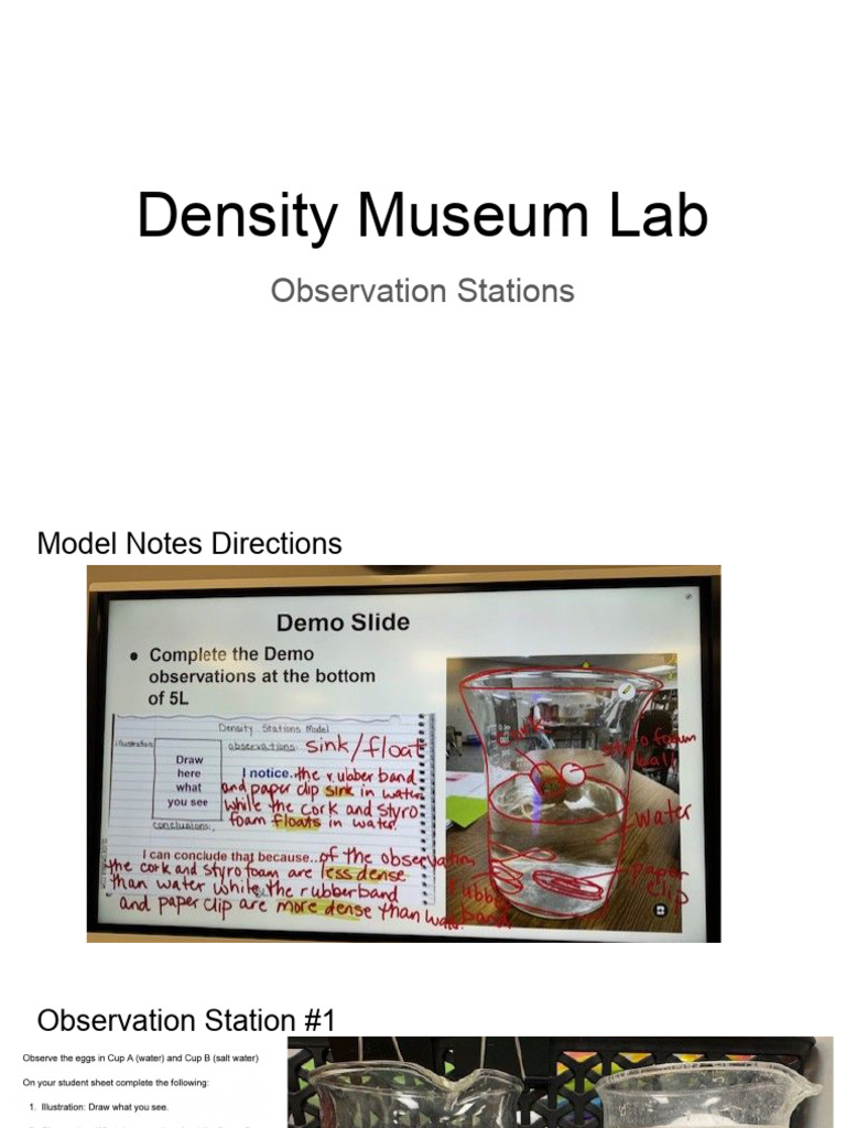 Density Museum Lab | PDF