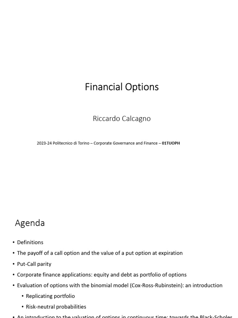 Financial Options Pdf
