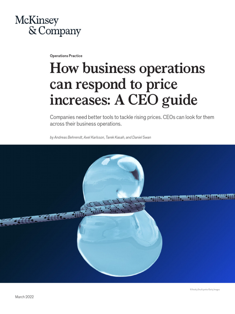 How Business Operations Can Respond To Price Increases A Ceo Guide | PDF