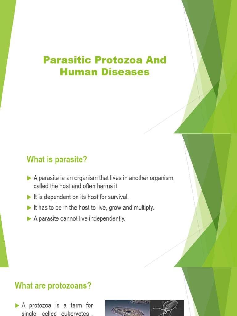 Parasitic Protozoa and Human Diseases | PDF | Clinical Medicine ...