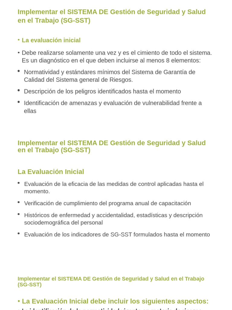 Implementacion Del Sgsst 2 Pdf