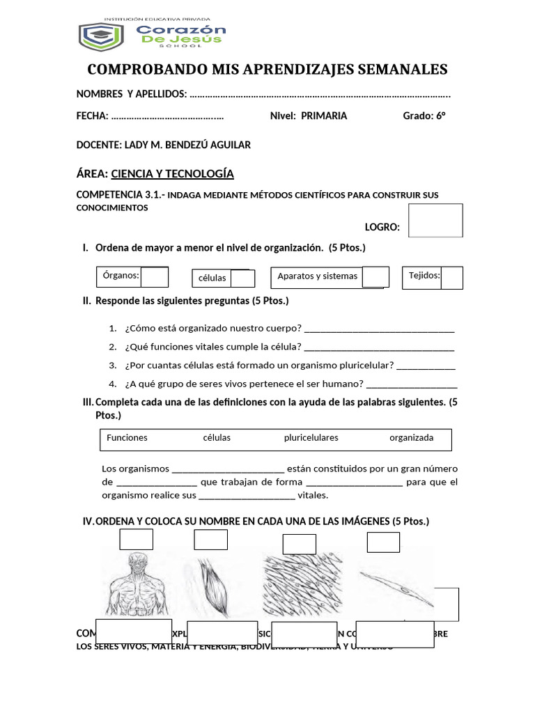 Examen de Ciencia y Tecnología - 6to Grado Primaria | PDF
