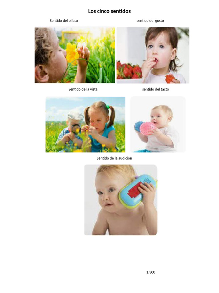 Cinco Sentidos Pdf