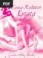 APOSTILA aplicacao gesso