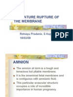 Premature Rupture of The Membrane: Retnayu Pradanie, S.Kep., Ns 18/03/09