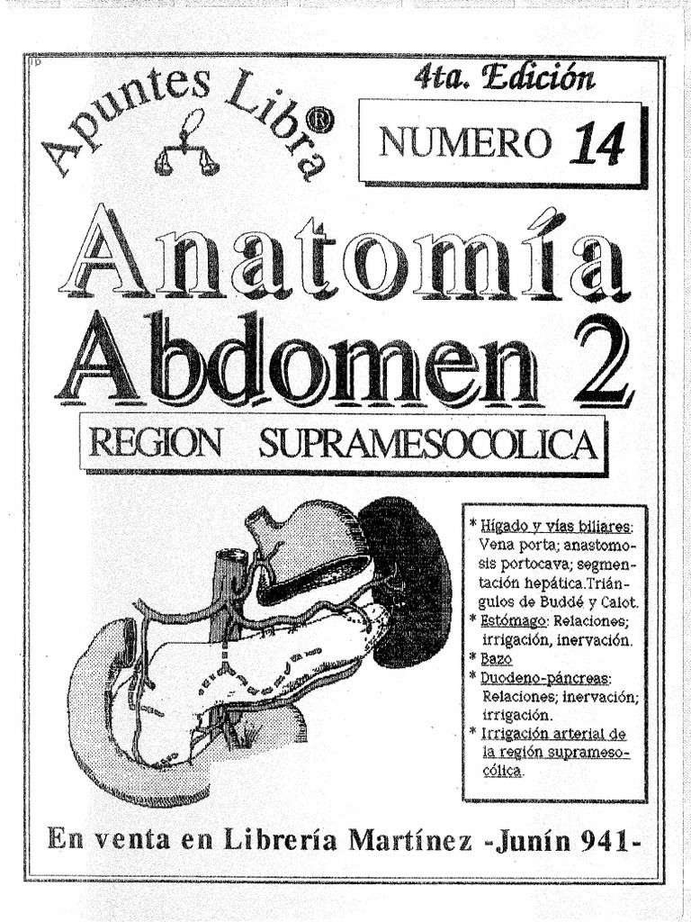 Apuntes Anatomia Ii M 1 Pdf