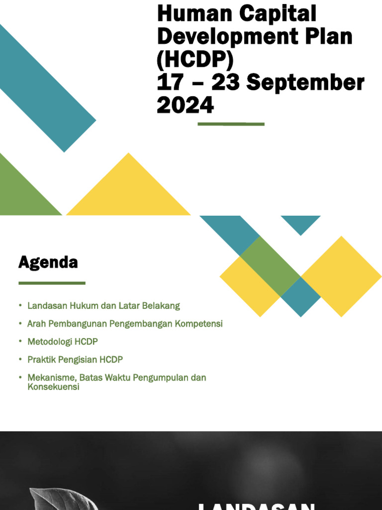 Human Capital Development Plan 2024 | PDF