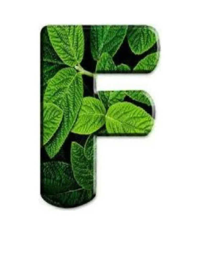 Flora y Fauna | PDF