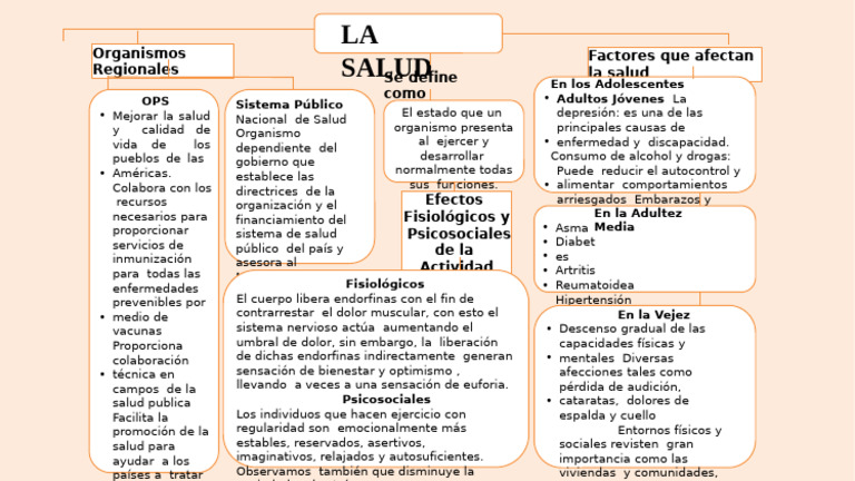 Mapa Conceptual de La Salud 2 | PDF | Adultos | Causas de la muerte