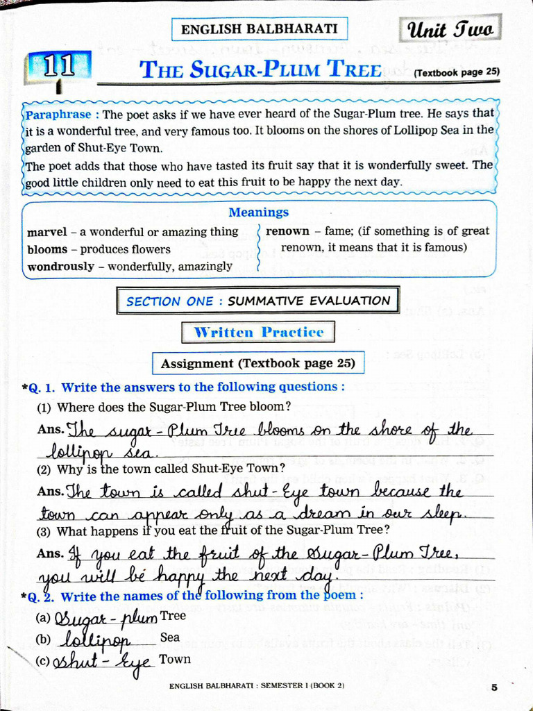 3rd English Lesson 11 | PDF
