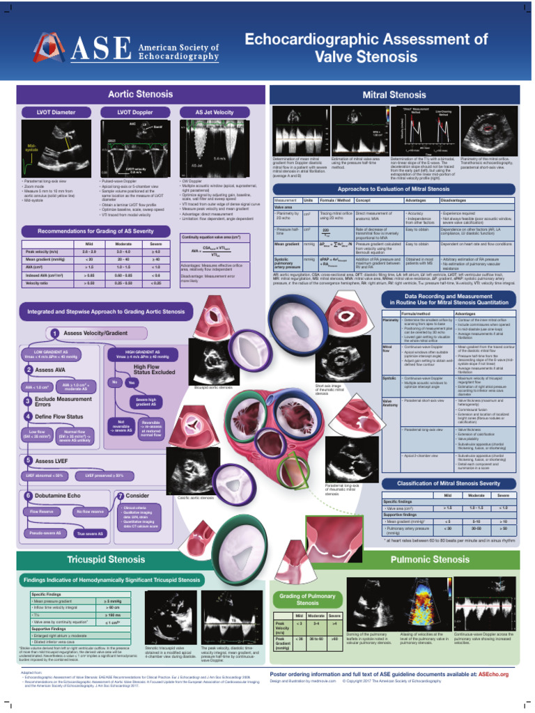 Valve Stenosis Poster v5 | PDF