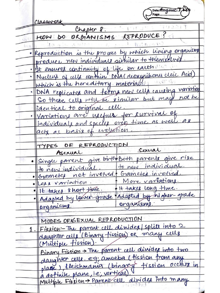 Gr-10 MT Bio-HDOR ClassNotes Set-1 | PDF
