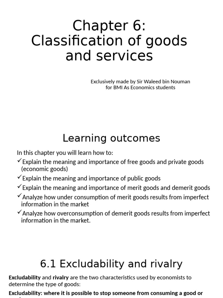 Chapter 6 Classification of Goods and Services | PDF