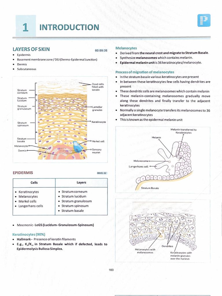 Dermatology | PDF