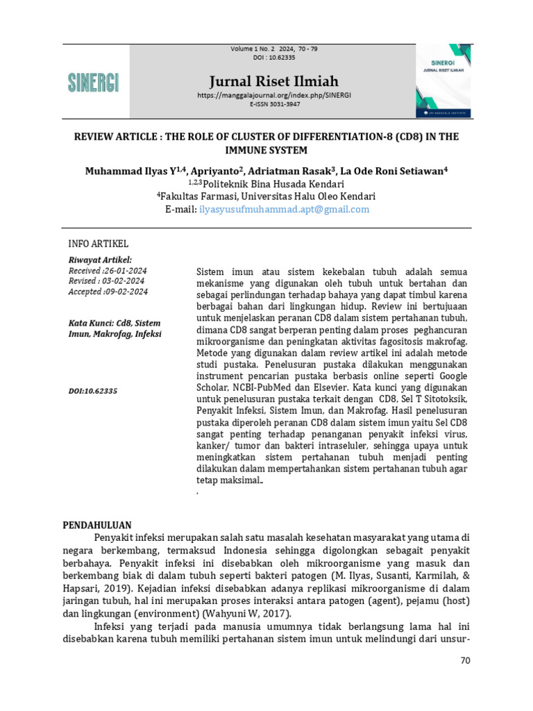 4.+Template+SINERGI+February+2024 Ilyas+dkk | PDF
