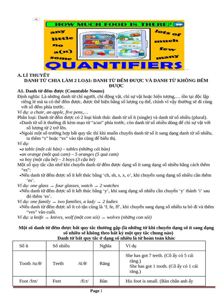 N Quantifiers | PDF