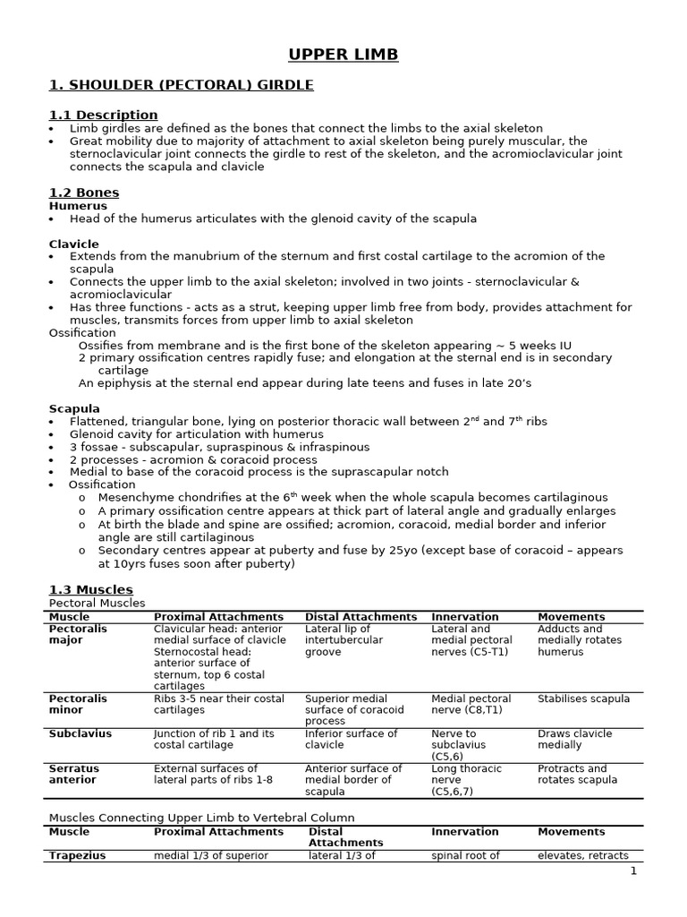 Anatomy Upper Limb Pdf