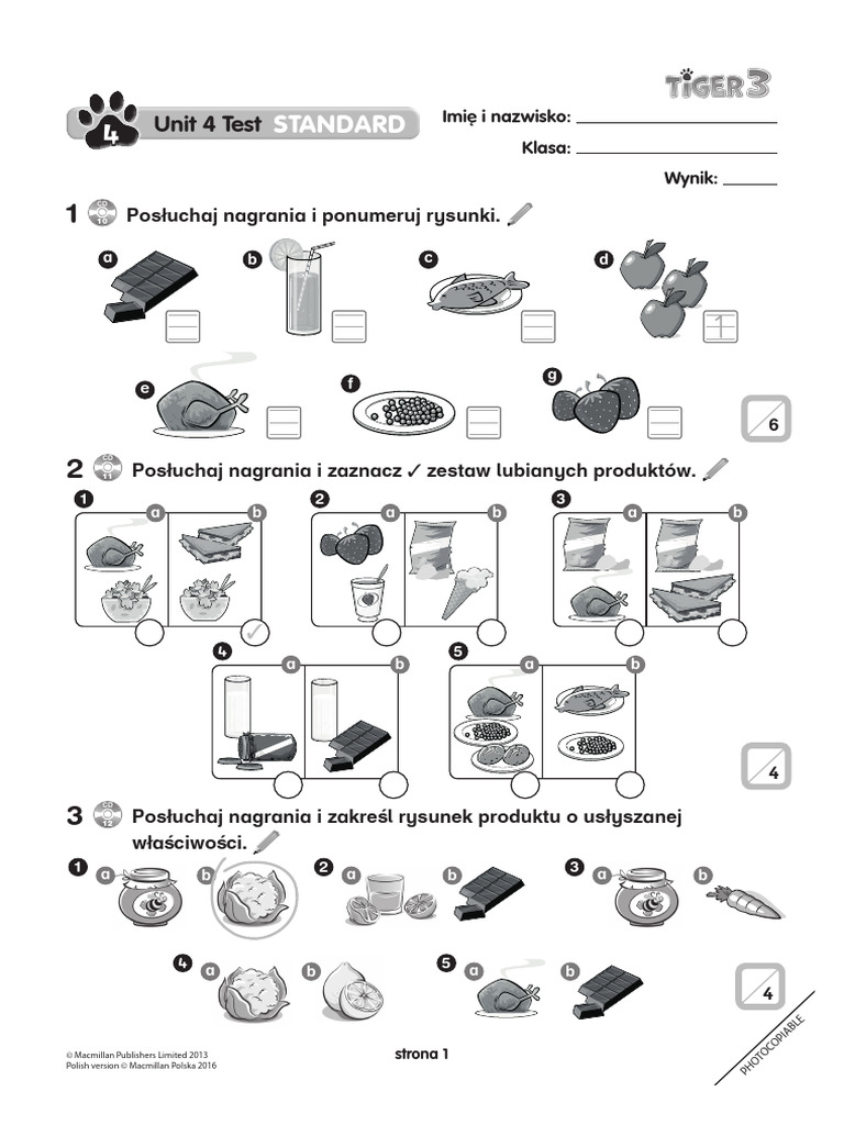 Tiger 3 Unit 4 Test Standard Pdf