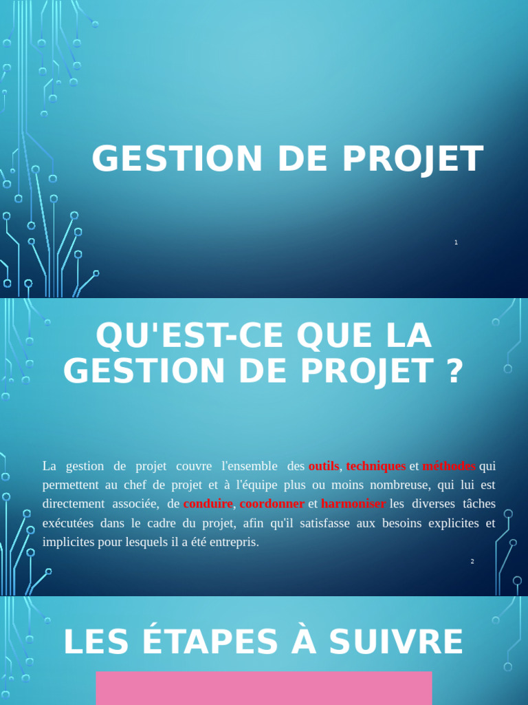 R203 Gestion de Projet | PDF