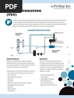 Gas Dehydration (TEG)