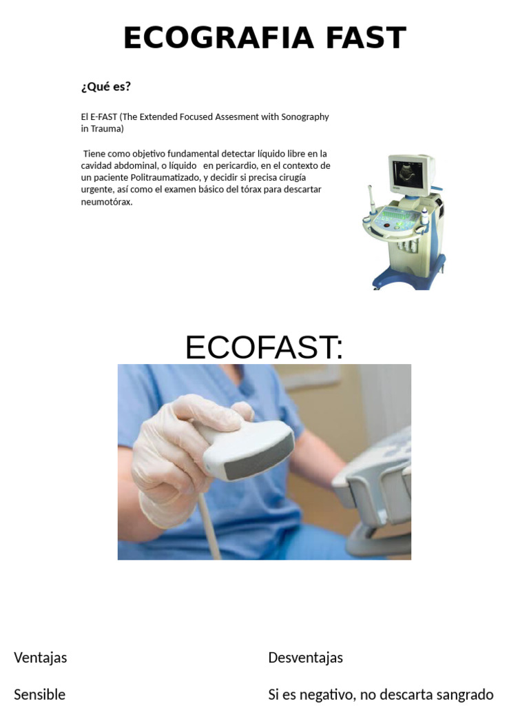 Eco Fast | PDF