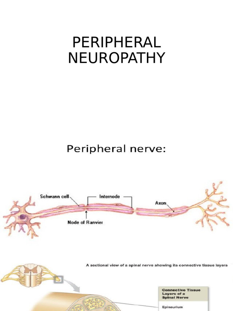 Peripheral Neuropathy | PDF | Wellness