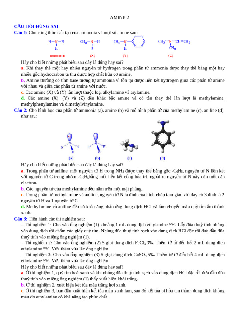 Amine 2.HS | PDF