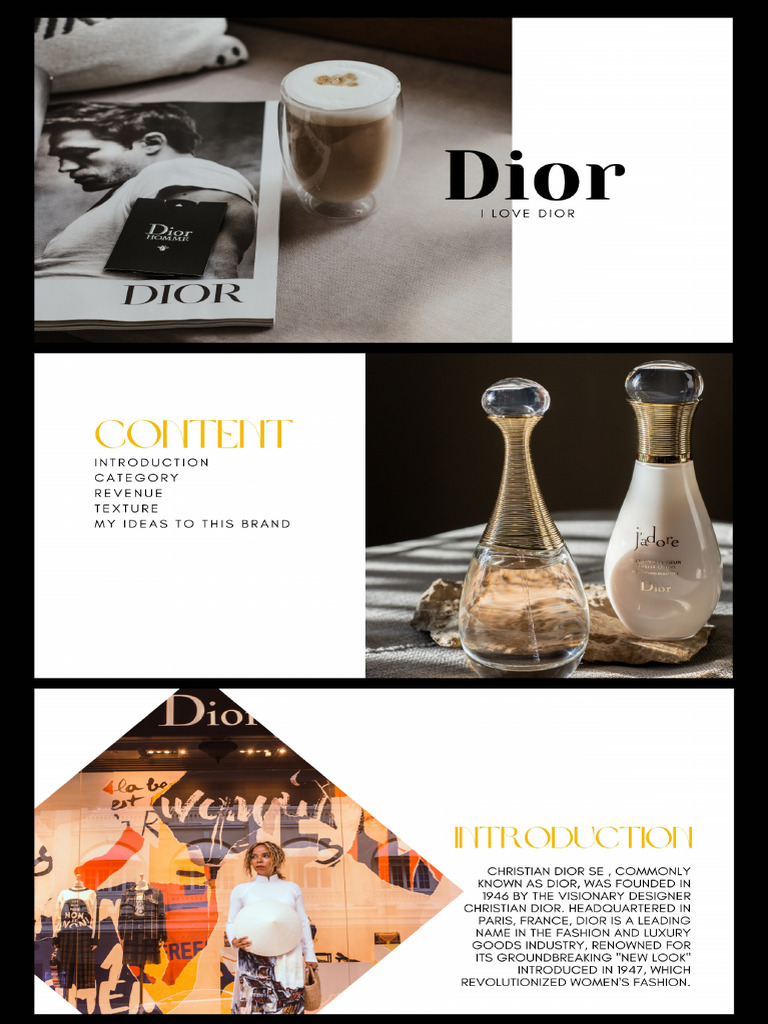 Dior Research Work | PDF