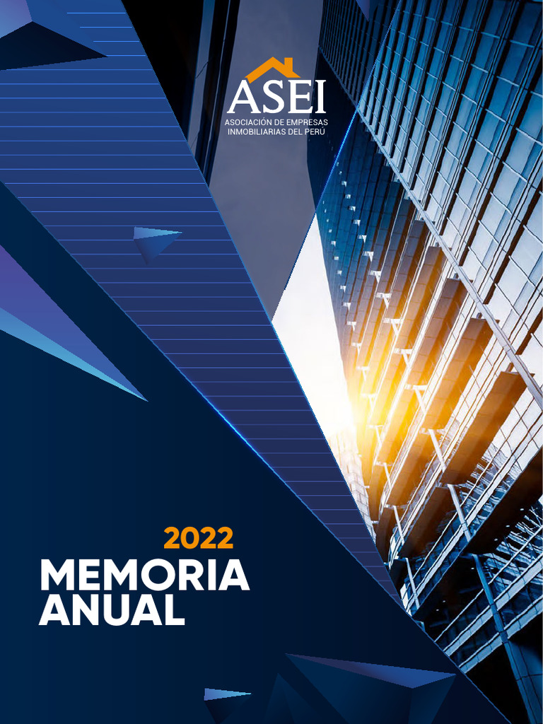 Memoria Anual ASEI Web | PDF